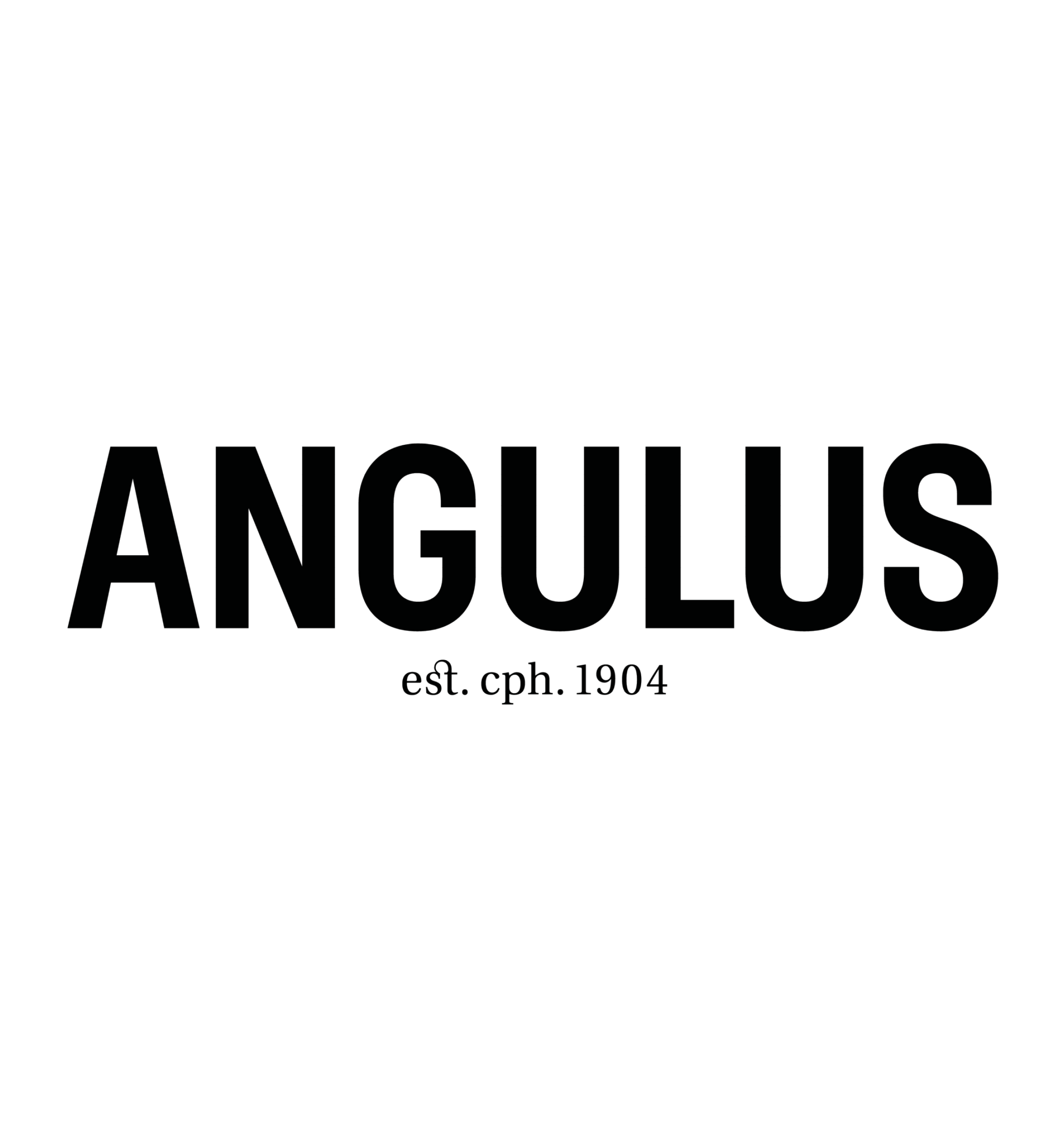 angulus logo