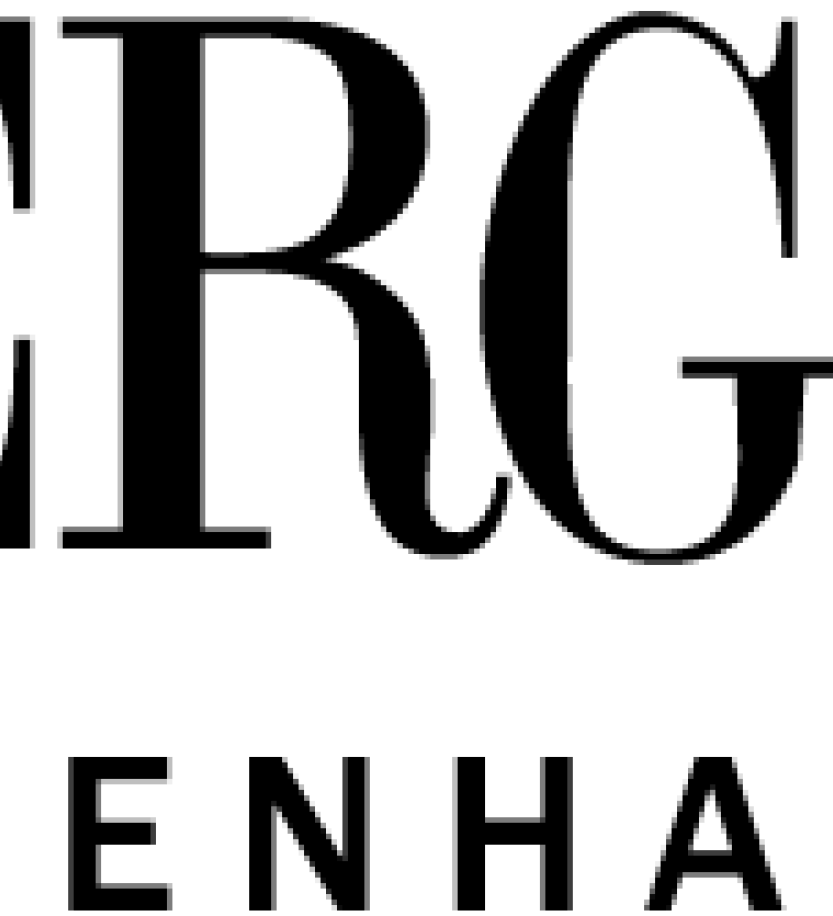dyrberg/kern logo