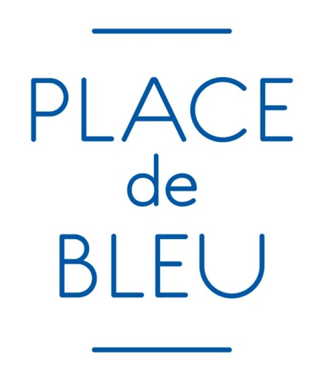 place de bleu logo